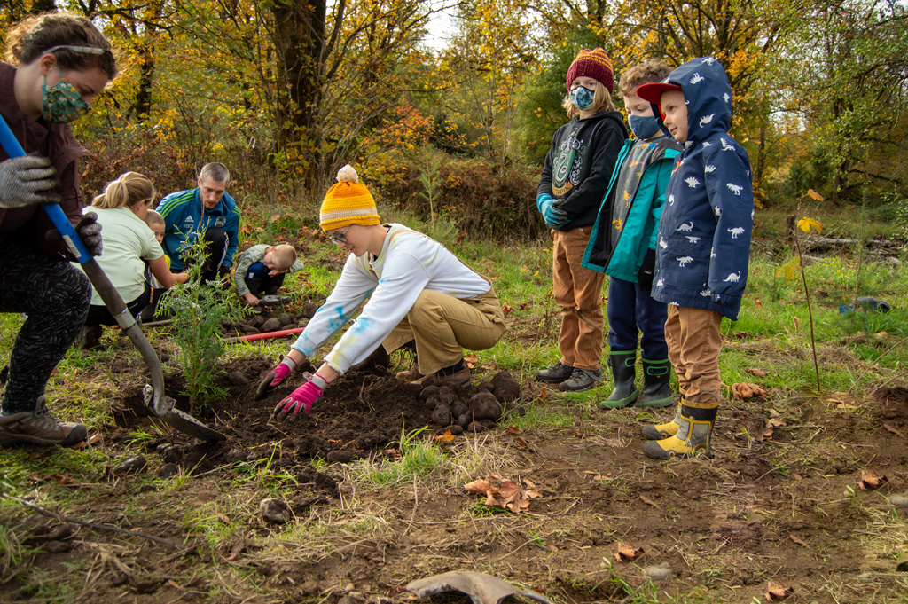 A group of volunteers, composed of adults and children, help plant a conifer sapling in the ground at the South Prairie Creek Preserve