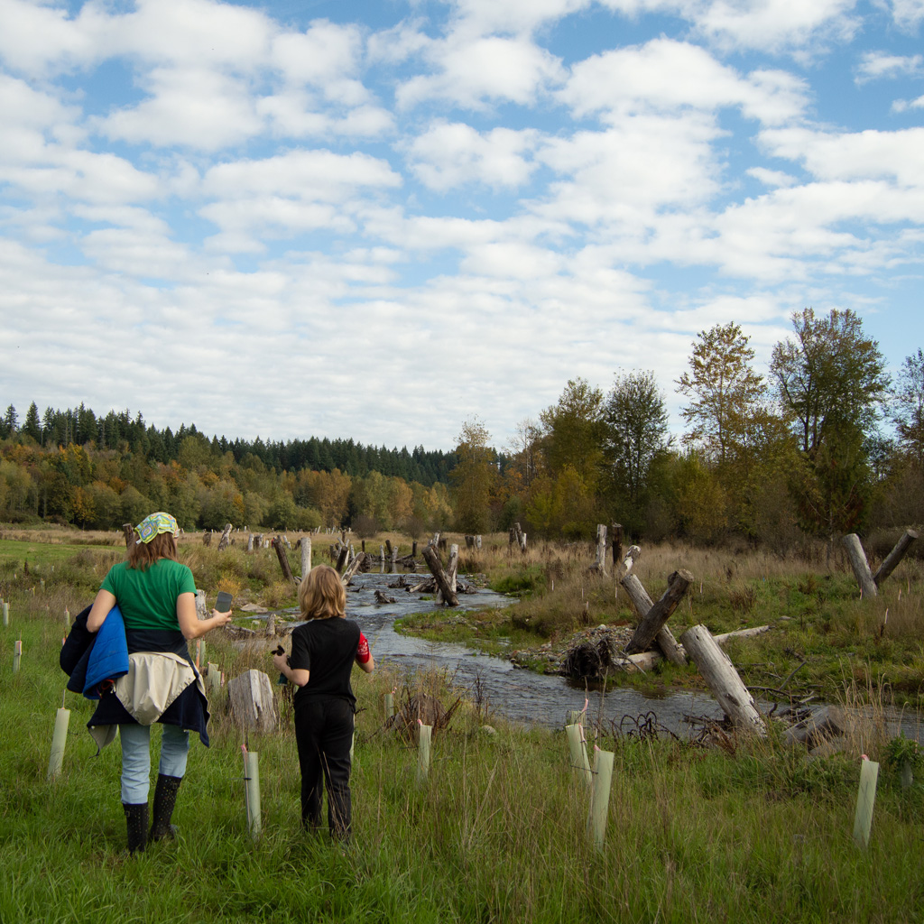 Two volunteers walking towards South Prairie Creek on a fall day.