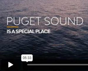 Screenshot from the Action Agenda video, showing a shot of Puget Sound water. with text overlaid that says, "Puget Sound is a special place."