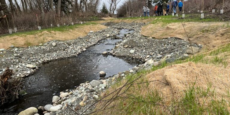 Photo of stream that was restored by Skagit River System Cooperative and the Navy