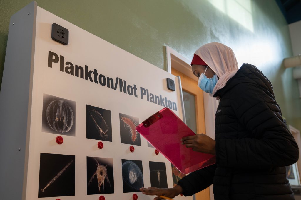 A student looks at a part of the plankton exhibit at Highline College's MaST Center Aquarium. The display says, "Plankton/Not Plankton" with red buttons below photos of microscopic plants and animals, so that attendees can choose which ones are plankton and which are not. Photo credit: Wes Koseki.