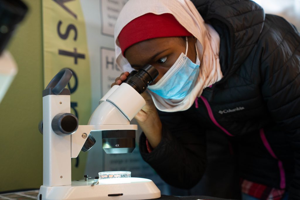 A student looks at a sample of plankton through a microscope at the plankton exhibit at the MaST Center Aqaurium. Photo credit: Wes Kosecki.
