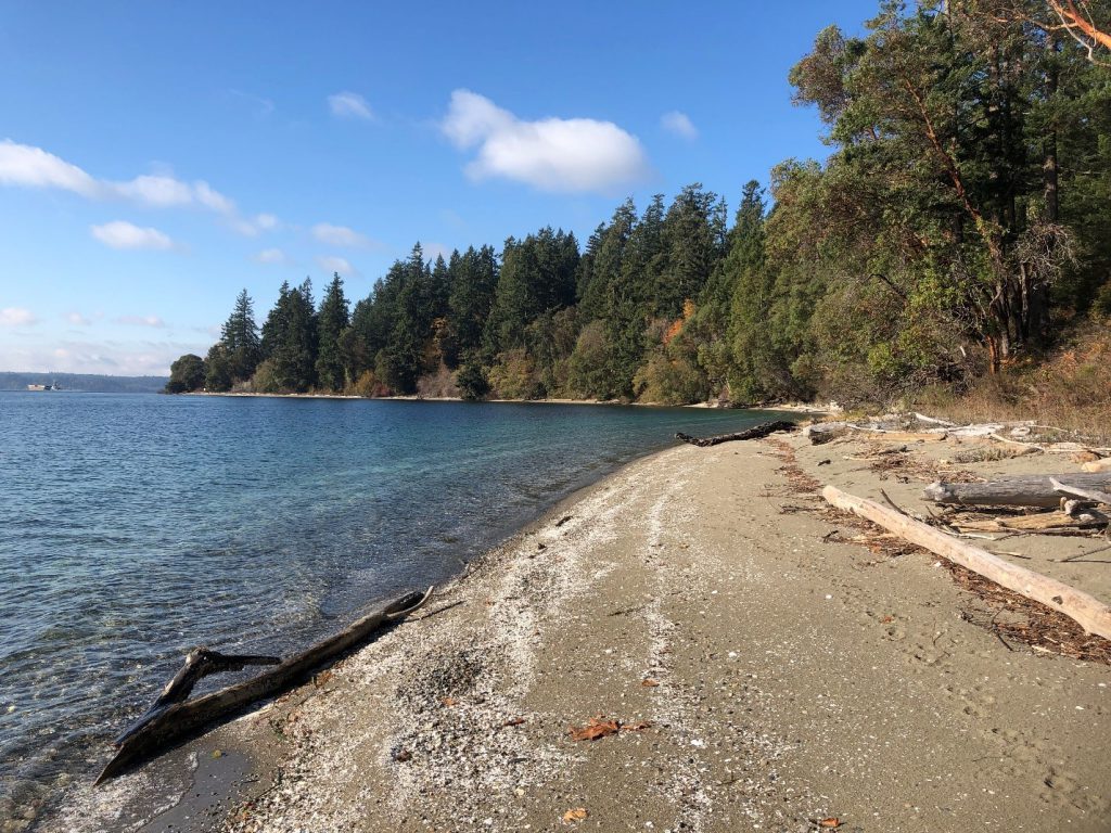 Photo of a beach on McNeil Island that has had shoreline armoring removed. The beach has returned to a more natural state. Logs sit on the wrack line and trees stand tall on the upland portion of the beach.