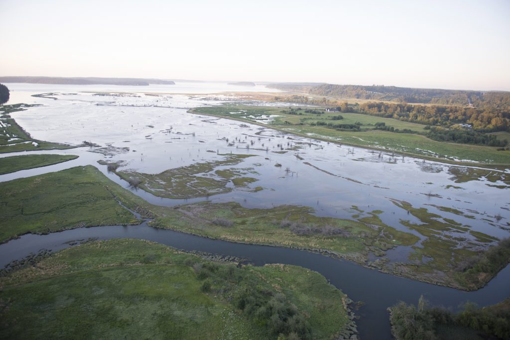Aerial photo of the Nisqually River Delta, showing Puget Sound water flowing into the tidelands. Photo credit: Kiliii Yuyan.