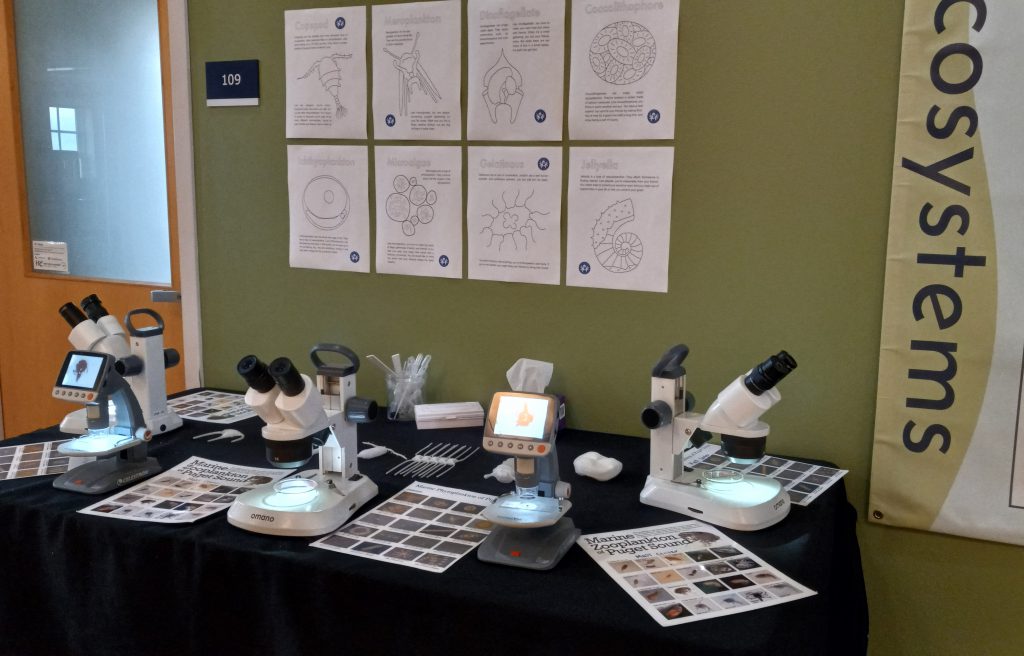 Photo of the plankton exhibit, showing a row of microscopes set up for visitors to observe samples of plankton up close and identify individual species of plankton.