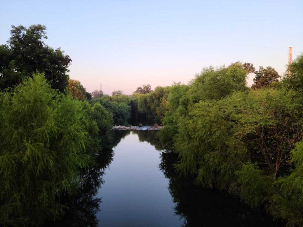 Photo of a restored stretch of Mission Reach, part of the San Antonio River, which shows trees and plants lining the banks of a smooth, flowing river.