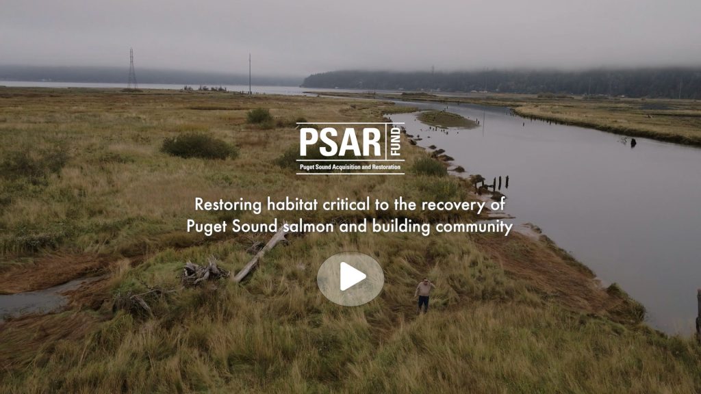 Still image screenshot from the video about the Puget Sound Aquisition and Restoration program, showing Dave Herrera, member of the Skokomish Indian Tribe, policy director for the Skokomish Department of Natural Resources, and co-vice chair of the Puget Sound Salmon Recovery Council and Puget Sound Partnership Ecosystem Coordination Board, walking near the Skokomish River, with the title of the video overlaid in white lettering, "Puget Sound Acquisition and Restoration Fund: restoring habitat critical to the recovery of Puget Sound salmon and building community."
