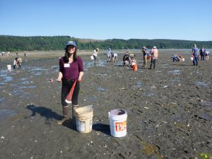 People on a beach near Quilcene dig for shellfish on the tidelands. Hills rise in the background.