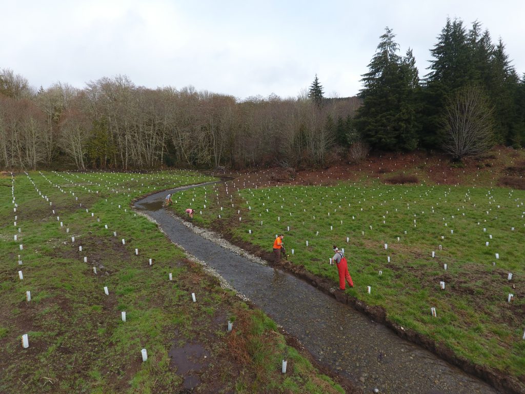 A photo of people working to plant trees and other vegetation near a creek running through farmland.