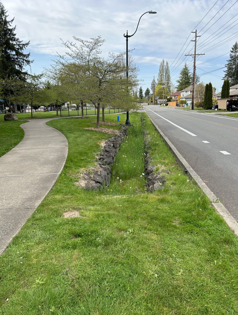 Photo of road retrofit for stormwater management, showing a strip of treatment bioretention built into a median.