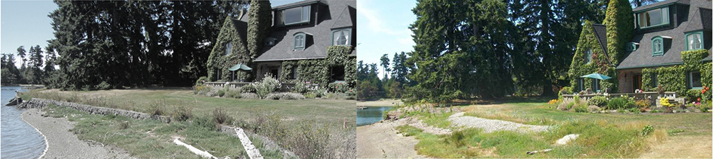 Photo showing a before-and-after comparison of a waterfront property. In the before photo on the left, the property has shoreline armoring between its front yard and the beach, and in the after photo on the right, the shoreline armoring has been removed and the beach has returned to a more natural state.