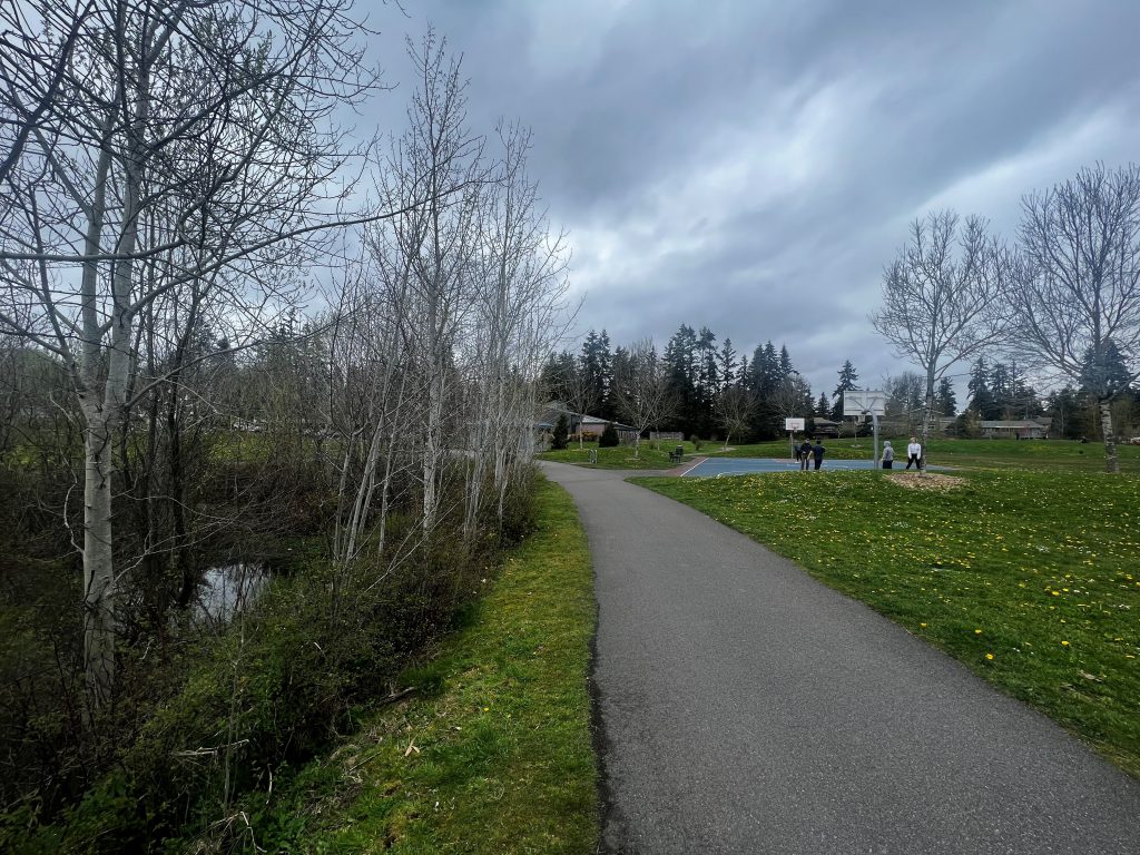 Photo of Cromwell Park in Shoreline, Washington, showing the constructed wetland on the left that helps treat stormwater.