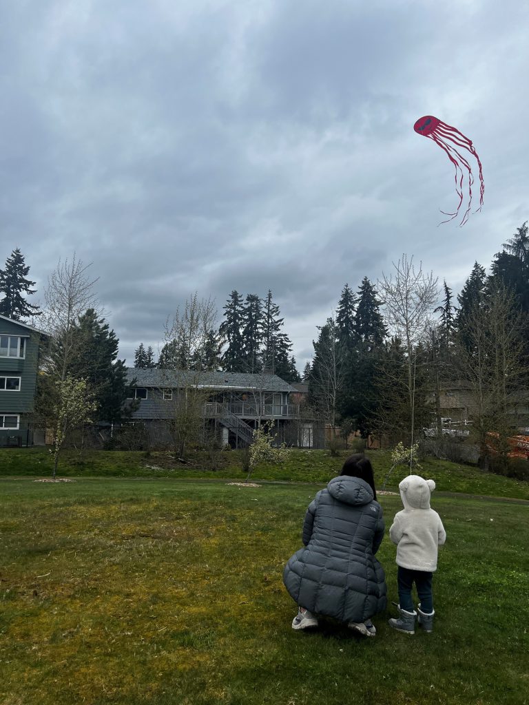 A family, shwon from behind, flies a kite at Cromwell Park in Shoreline, Washington.