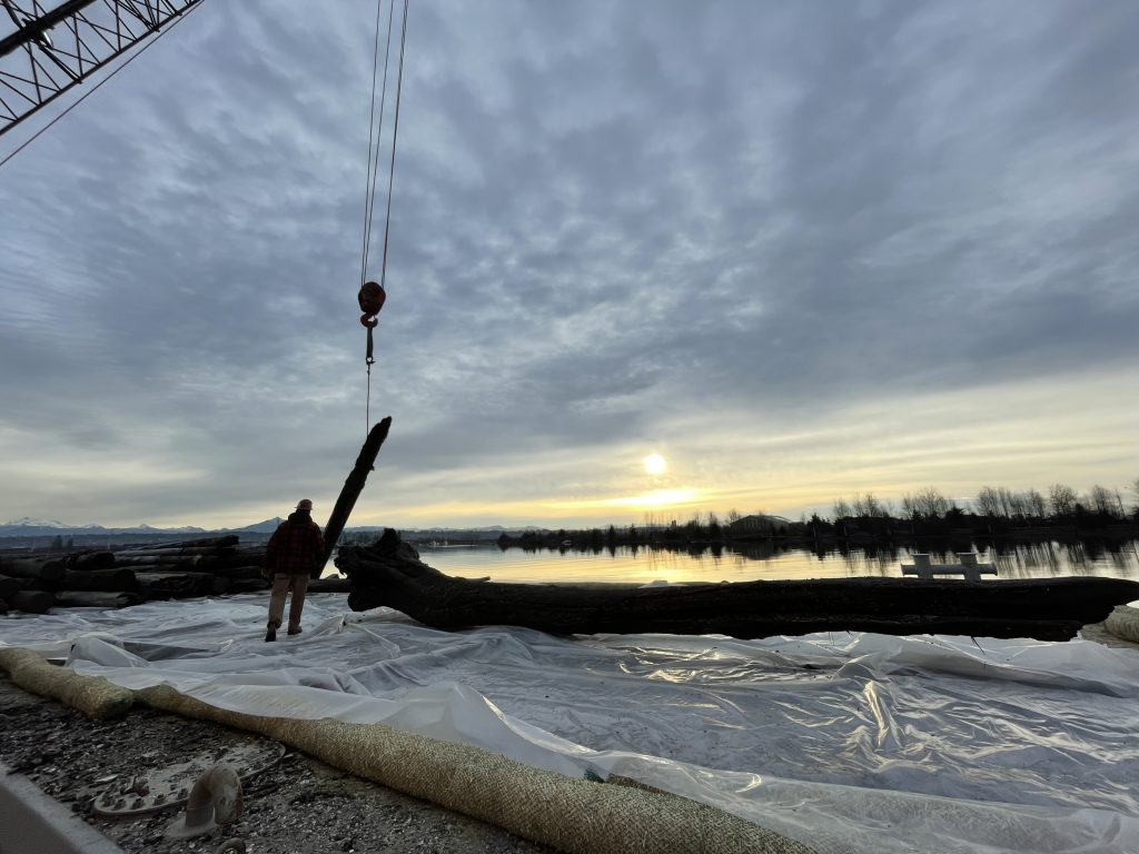 A crane pulls creosote-soaked pilings from the Snohomish River estuary while a worker helps guide operations.