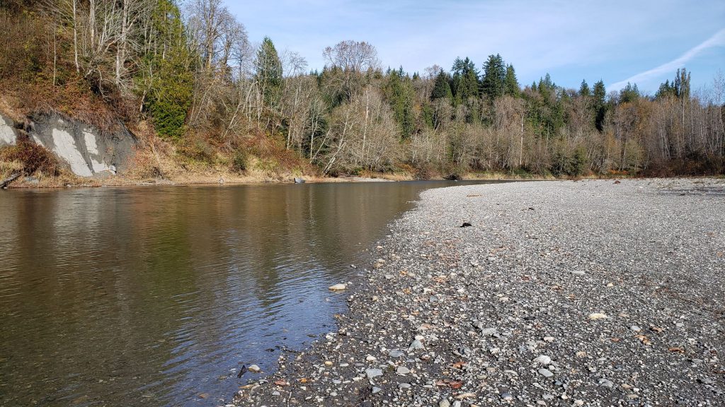 North Fork Stillaguamish River, photo taken from the banks of the river.