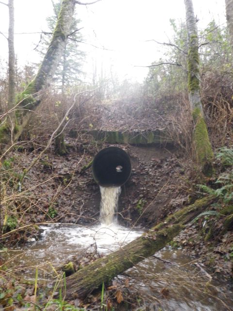 One of the culverts on Chicken Coop Creek, this one is near the Old Blyn Highway.