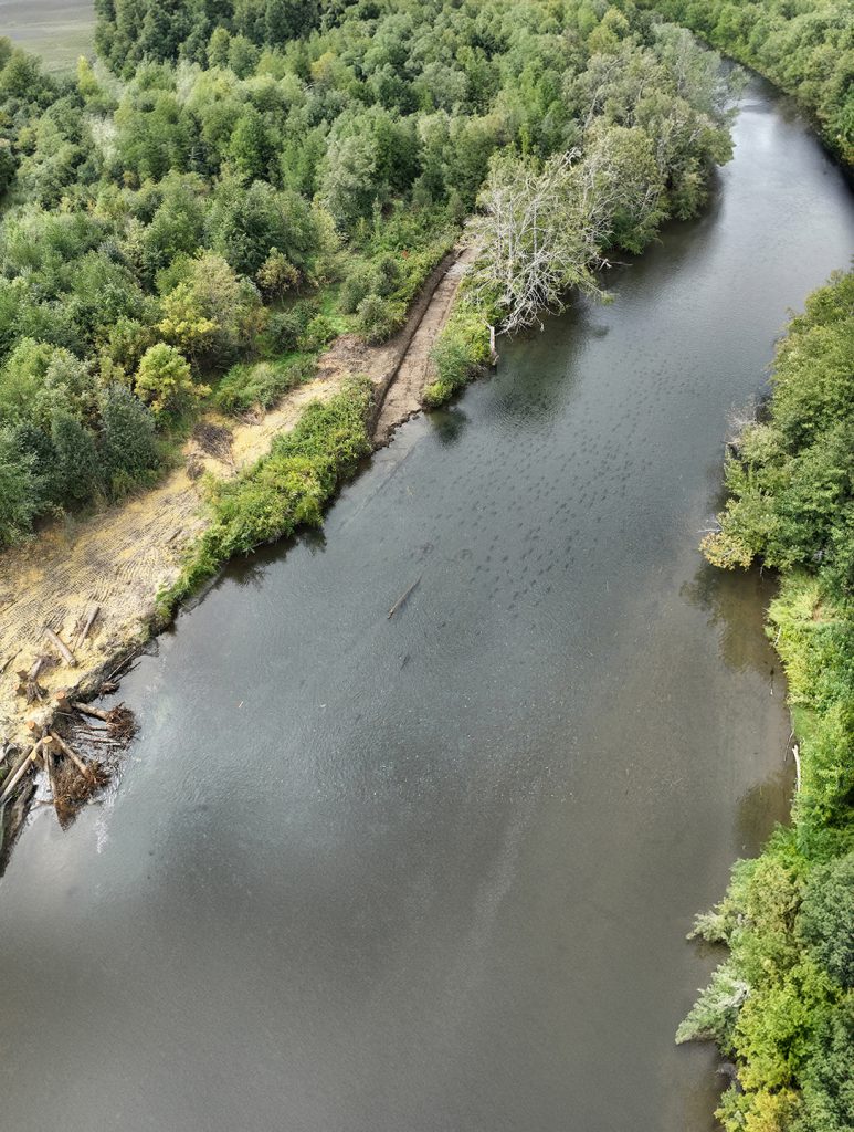 Aerial photo of a river with salmon swimming in it.