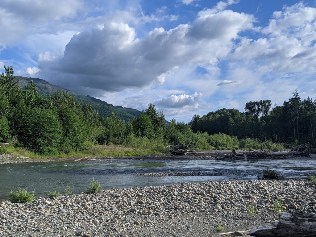 South Fork Nooksack Rover, photo taken from the banks of the river.